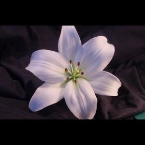 Meet your Posher, Coralie